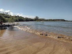 Foto von Strand der Biologie annehmlichkeitenbereich