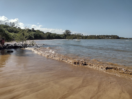 Plage de la Biologie