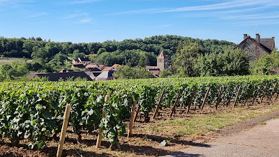 Domaine Guillemard Pothier à Meloisey