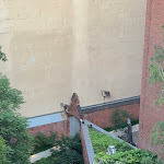 Photo n°2 de l'avis de Michael.e fait le 21/06/2023 à 17:00 sur le  Wilmina Hotel à Berlin