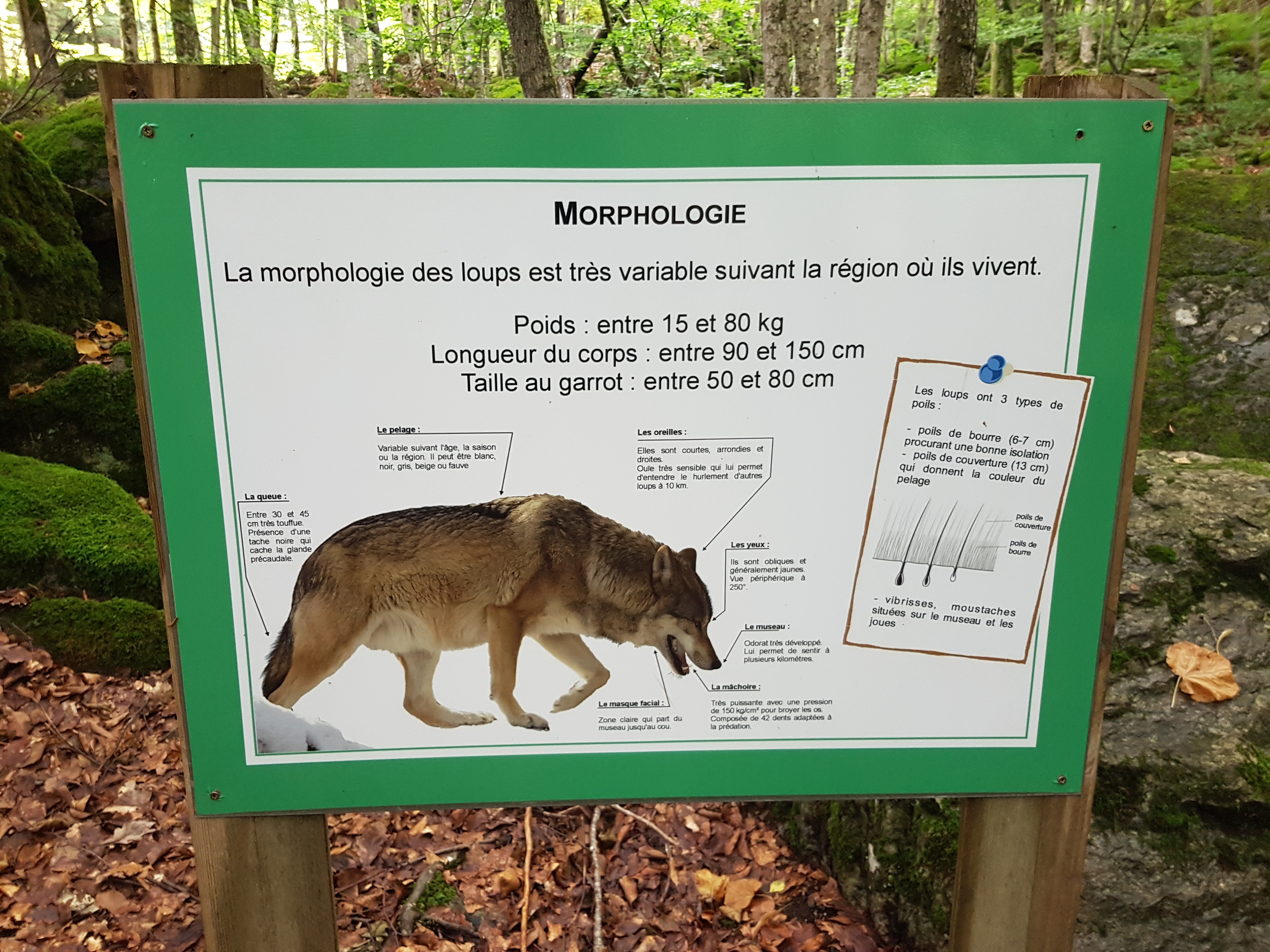 Photo n° 3 de l'avis de Eric.e fait le 12/08/2018 à 14:15