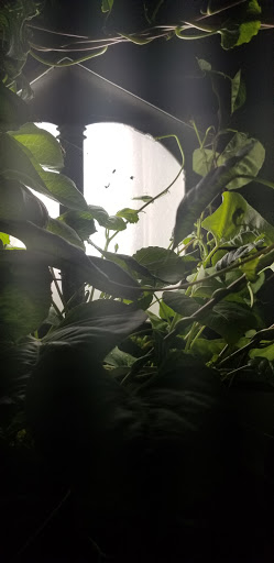 Pet Supply Store «Petco Animal Supplies», reviews and photos, 11633 Ulysses Ln NE #200, Blaine, MN 55434, USA