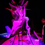 Photo n° 2 de l'avis de Émira&Bertrand.O fait le 19/02/2018 à 18:25 pour Paléospace à Villers-sur-Mer