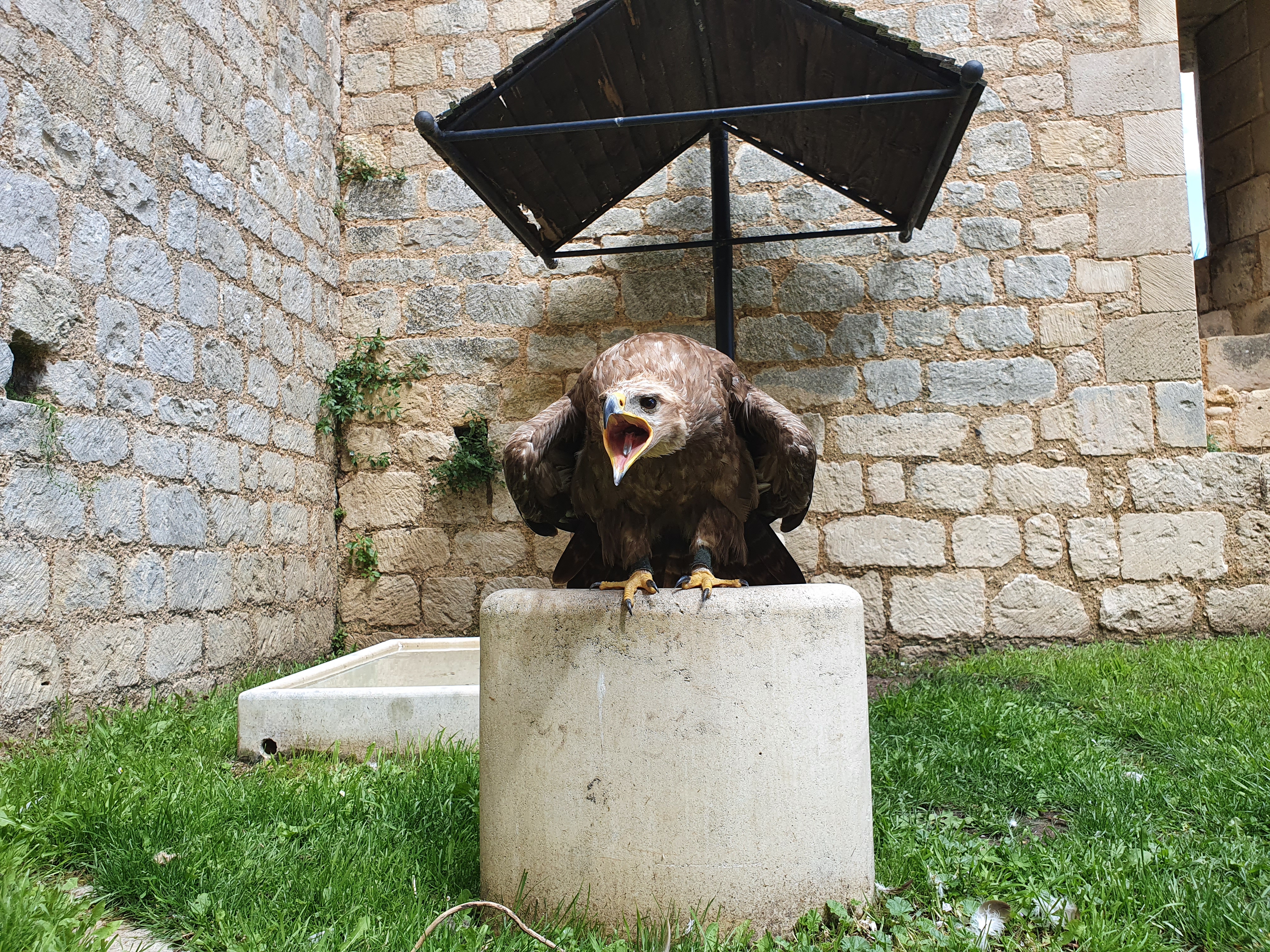Photo n° 5 de l'avis de Marie.a fait le 22/07/2021 à 16:42