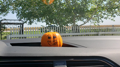 Gift Shop «Sisters Garden», reviews and photos, 4895 IA-1, Kalona, IA 52247, USA