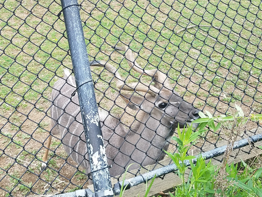 Amusement Park «Como Town», reviews and photos, 1301 Midway Pkwy, St Paul, MN 55103, USA