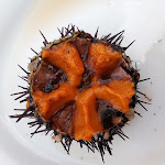 Photo n°2 de l'avis de Dante.a fait le 30/08/2018 à 16:29 sur le  Ristorante Bar B&B The Captain's Inn à Marina si Savelletri, Fasano