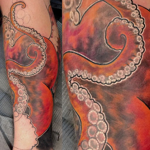 Tattoo Shop «Moth Studio», reviews and photos, 428 W Commercial St, Springfield, MO 65803, USA