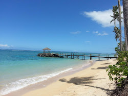 Photo de Saletoga Beach avec un niveau de propreté de très propre