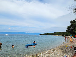 Photo de Dog Beach Atea Camping - recommandé pour les voyageurs en famille avec des enfants