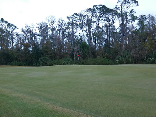 Golf Course «Crane Lakes Golf & Country Club», reviews and photos, 1850 Crane Lakes Blvd, Port Orange, FL 32128, USA