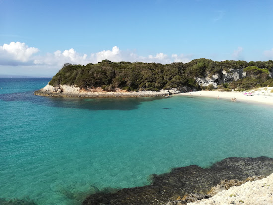 Petit Sperone Plajı