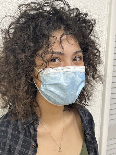 Hair Salon «Great Looks Hair Spa», reviews and photos, 5056 N Dixie Hwy, Oakland Park, FL 33334, USA