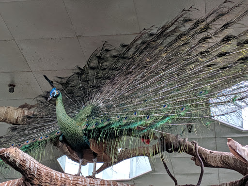 Zoo «Central Park Zoo», reviews and photos, E 64th St & 5th Ave, New York, NY 10021, USA