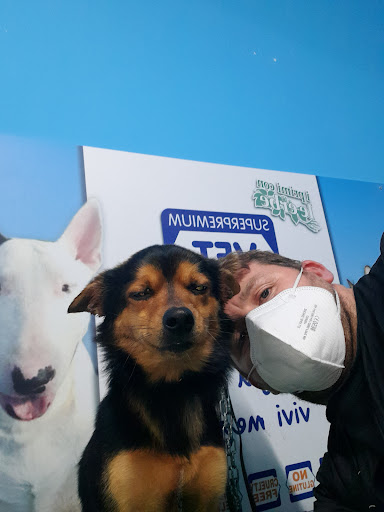 Pensioni per cani e dog hotel a Lilly e il vagabondo