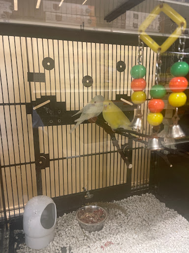 Pet Supply Store «Petco Animal Supplies», reviews and photos, 1945 W Palmetto St #250, Florence, SC 29501, USA