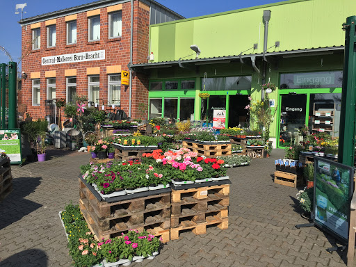 Raiffeisen - Markt Brüggen unter Brüggen, 