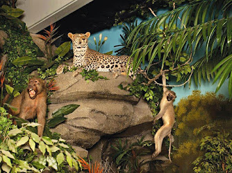Rosenbruch World Wildlife Museum
