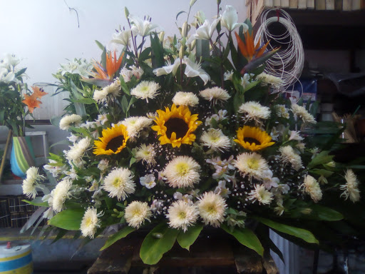 Florería Rosal florería en  en la zona Zona Centro