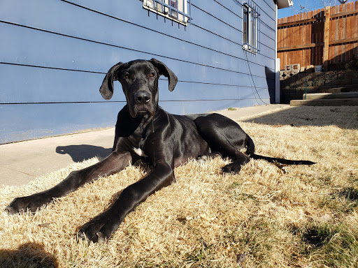 Pet Supply Store «Petco Animal Supplies», reviews and photos, 551 W Hampden Ave, Englewood, CO 80110, USA