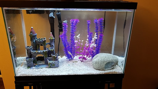 Pet Store «Fish Bowl», reviews and photos, 2117 E Race Ave, Searcy, AR 72143, USA