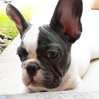 FOREVER NATURAL LA QUINTA NUTRITION & BROW BAR - Photo 8 - Car repair in La Quinta, CA, Indio