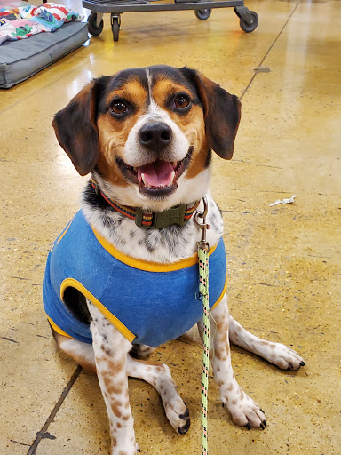 Pet Supply Store «PetSmart», reviews and photos, 2130 Gunbarrel Rd, Chattanooga, TN 37421, USA