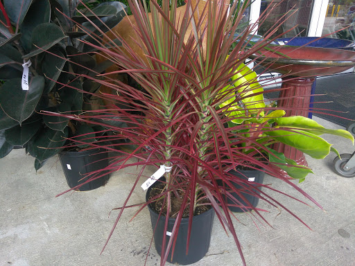 Hardware Store «Hagan Ace Hardware», reviews and photos, 6567 US-90, Glen St Mary, FL 32040, USA