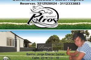 LOS POTROS_BAR image