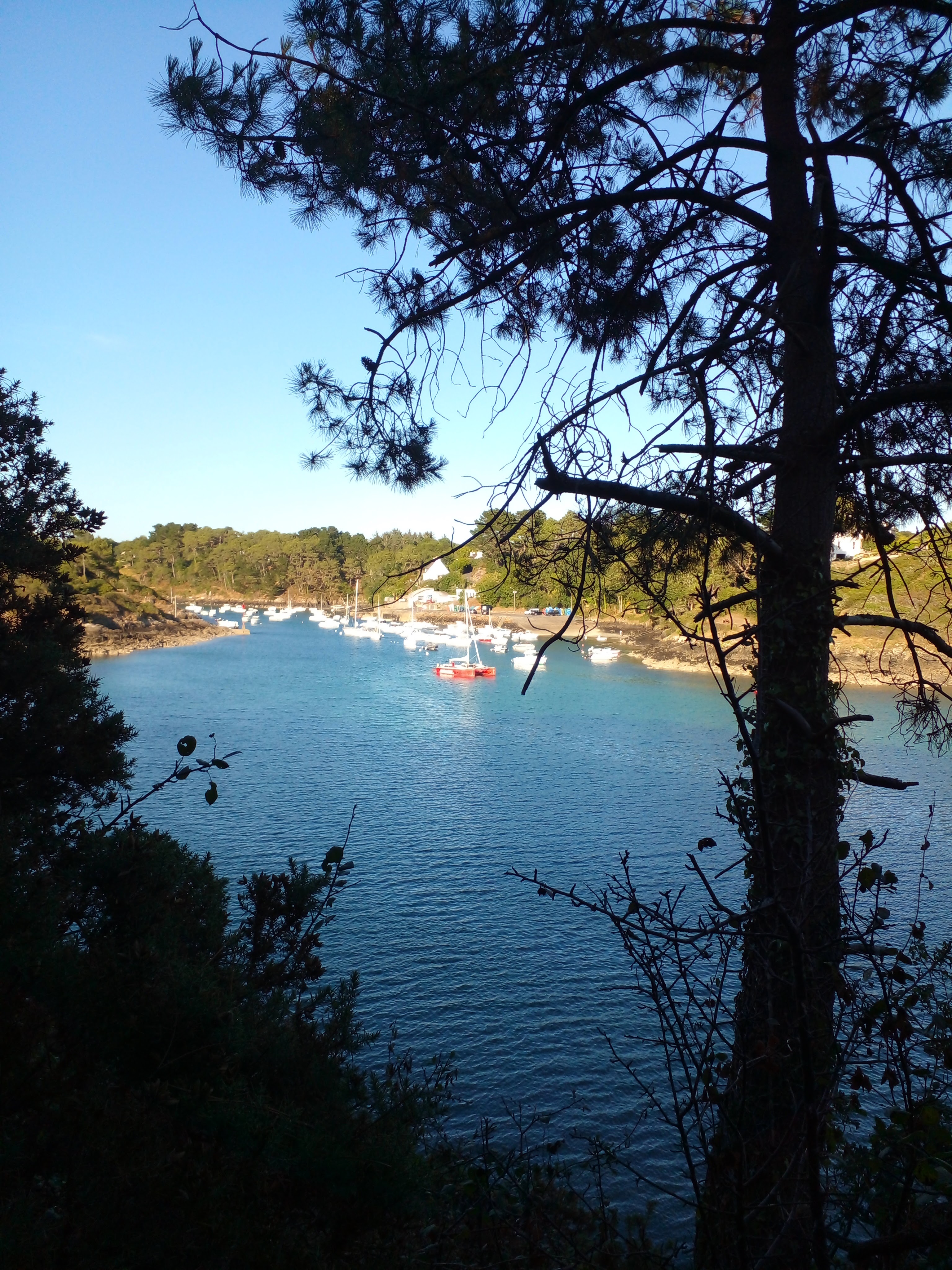 Photo n° 14 de l'avis de carole.l fait le 14/08/2022 à 14:12