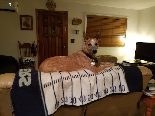 Tehama County Animal Care Center image