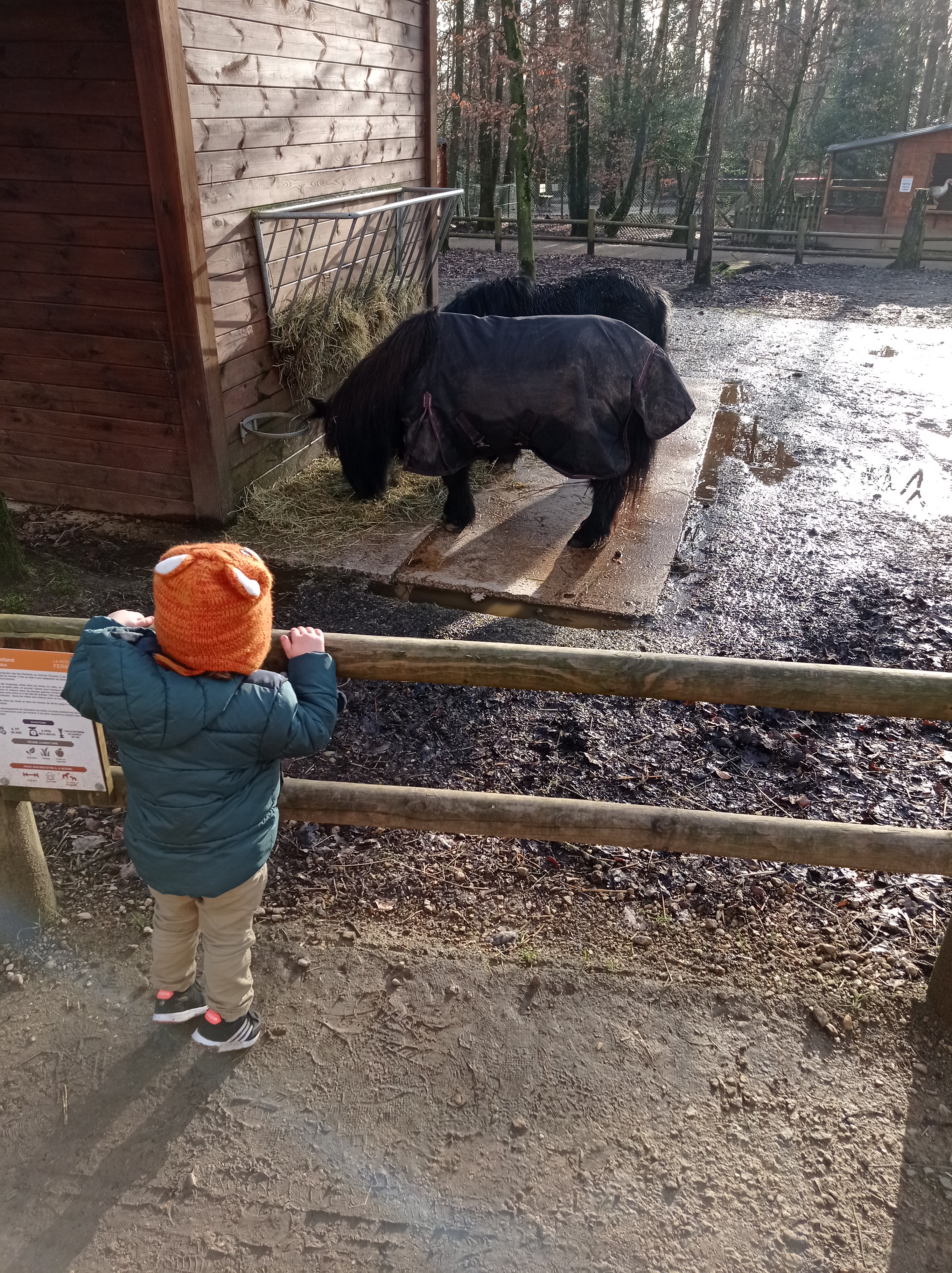 Photo n° 3 de l'avis de Suzanne.o fait le 19/02/2022 à 14:28