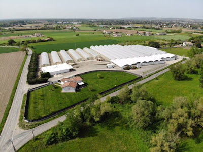 Midiplant à Saint-Jory