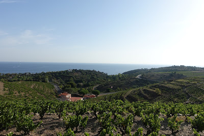 Domaine Manya Puig Valentin à Collioure