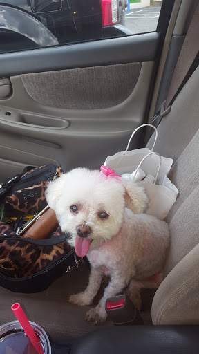 Pet Store «All Pets Considered», reviews and photos, 2614 Battleground Ave, Greensboro, NC 27408, USA