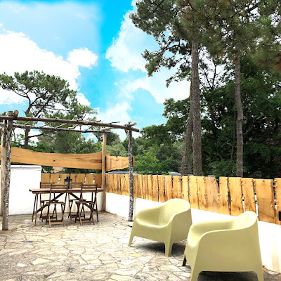 SOUS LES PINS (les Conches) à Longeville-sur-Mer