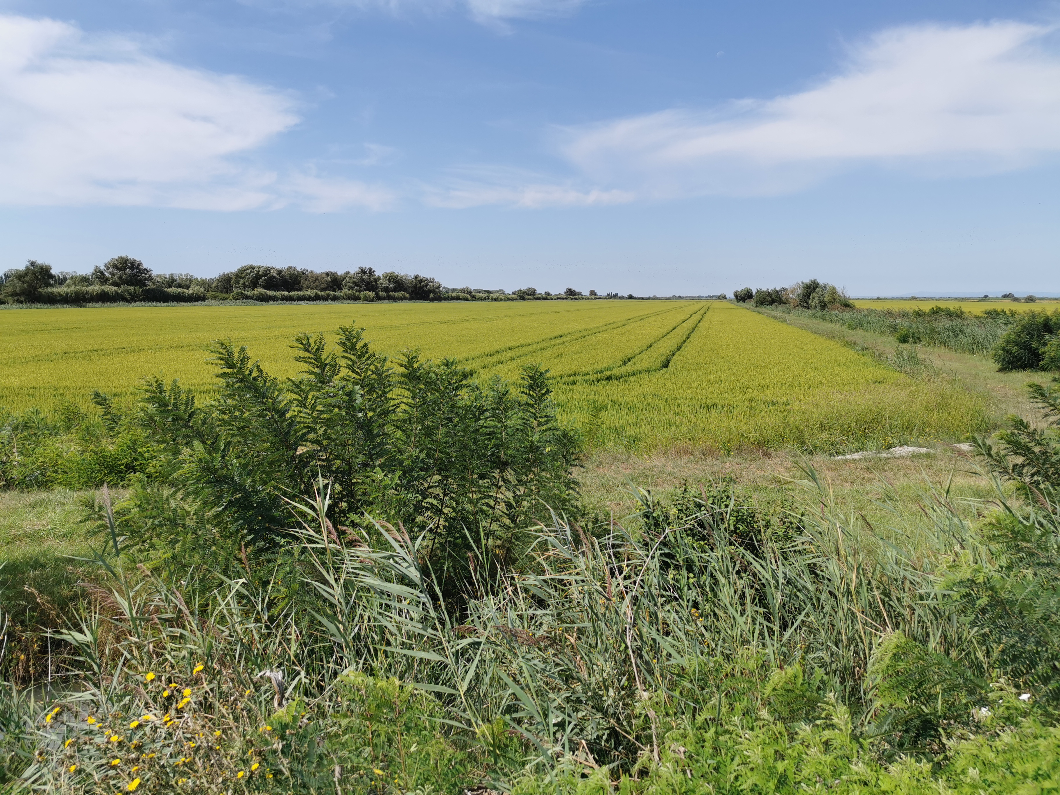 Photo n° 8 de l'avis de Trèfles.u fait le 23/08/2019 à 19:42
