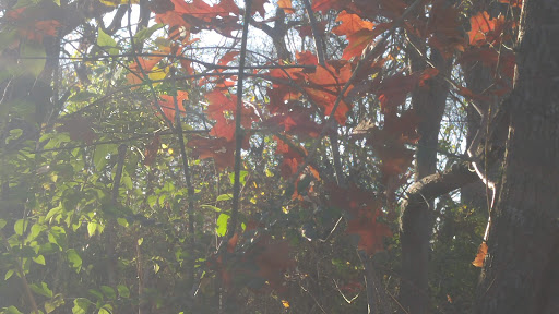 Park «Getzendaner Park», reviews and photos, 400 S Grand Ave, Waxahachie, TX 75165, USA