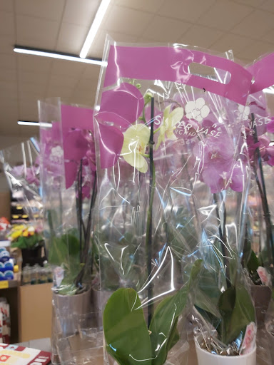 Supermarket «ALDI», reviews and photos, 3301 N State Rd 7, Lauderdale Lakes, FL 33319, USA