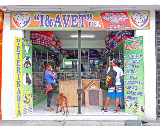 Veterinaria Spa I&Avet - Olaya