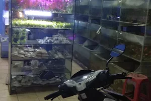 Aries Aquarium image