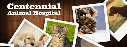 Dr. Michael Stahl, DVM image