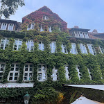 Photo n°1 de l'avis de Timo.u fait le 04/10/2023 à 15:12 sur le  Teestübchen Teehandel & Café à Hanover