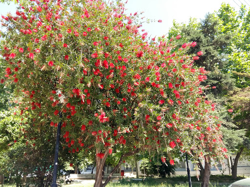 ΔΡΥΣ ΤΕΧΝΙΚΗ ΑΤΕΕ