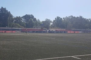 Estadio Municipal San Pedro Alcantara image