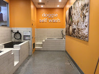 Petco - Photo 6 - Car repair in Redlands, CA, Riverside