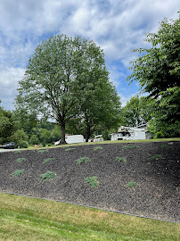 Carbaugh Tree & Lawn Care