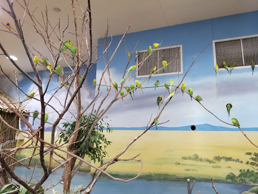 Aquarium «Toledo Zoo Aquarium», reviews and photos, 2700 Broadway St, Toledo, OH 43609, USA