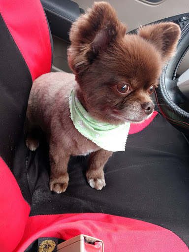 Pet Supply Store «Pets Earth», reviews and photos, 8410 S 73rd Plaza, Papillion, NE 68046, USA