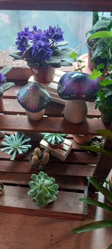 Farm «B & B Flower Farm», reviews and photos, 668 Jones Hill Rd, West Haven, CT 06516, USA